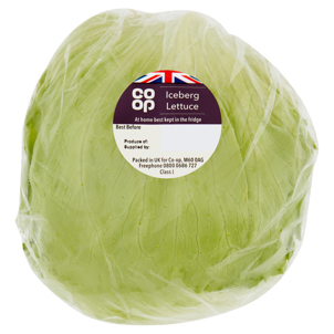 Co-op Iceberg Lettuce